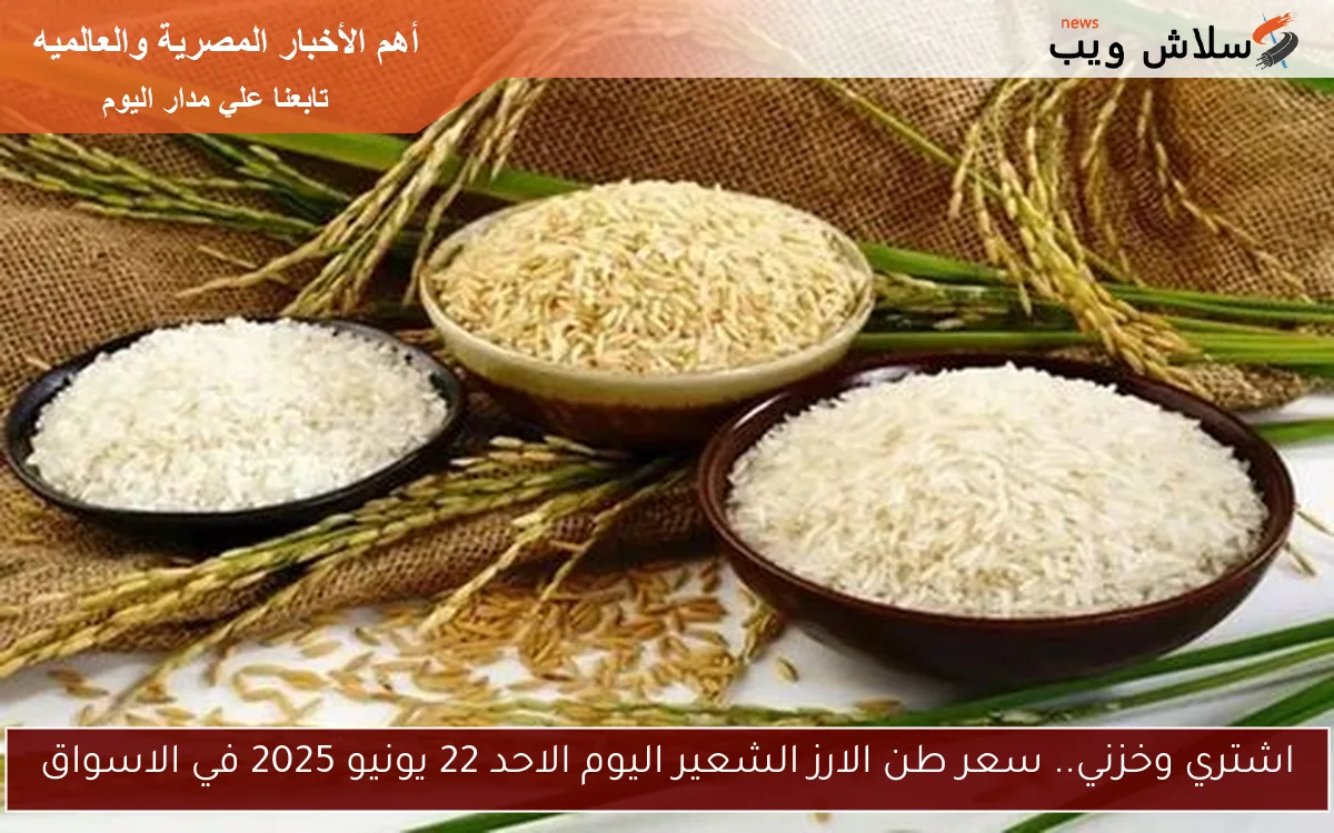 اشتري وخزني.. سعر طن الارز الشعير اليوم الاحد 22 يونيو 2025 في الاسواق
