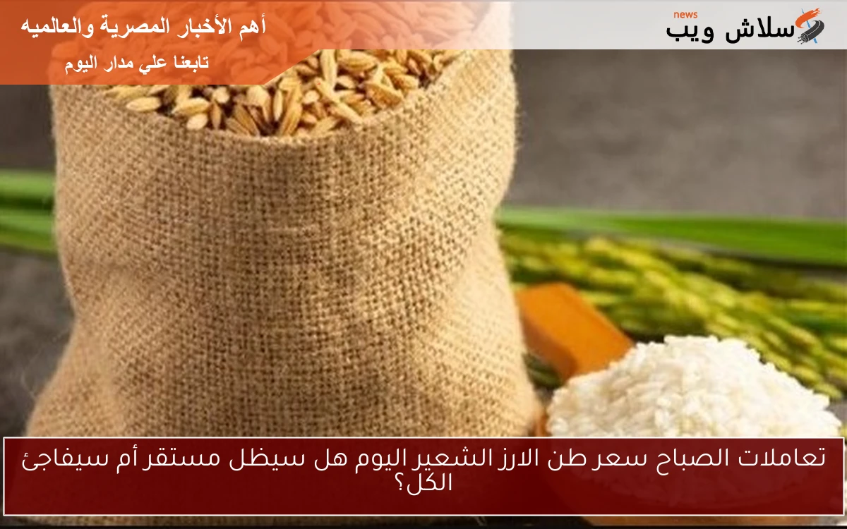 تعاملات الصباح سعر طن الارز الشعير اليوم هل سيظل مستقر أم سيفاجئ الكل؟ 2 تعاملات الصباح سعر طن الارز الشعير اليوم هل سيظل مستقر أم سيفاجئ الكل؟