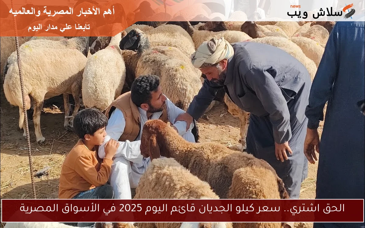 الحق اشتري.. سعر كيلو الجديان قائم اليوم 2025 في الأسواق المصرية 2 الحق اشتري.. سعر كيلو الجديان قائم اليوم 2025 في الأسواق المصرية