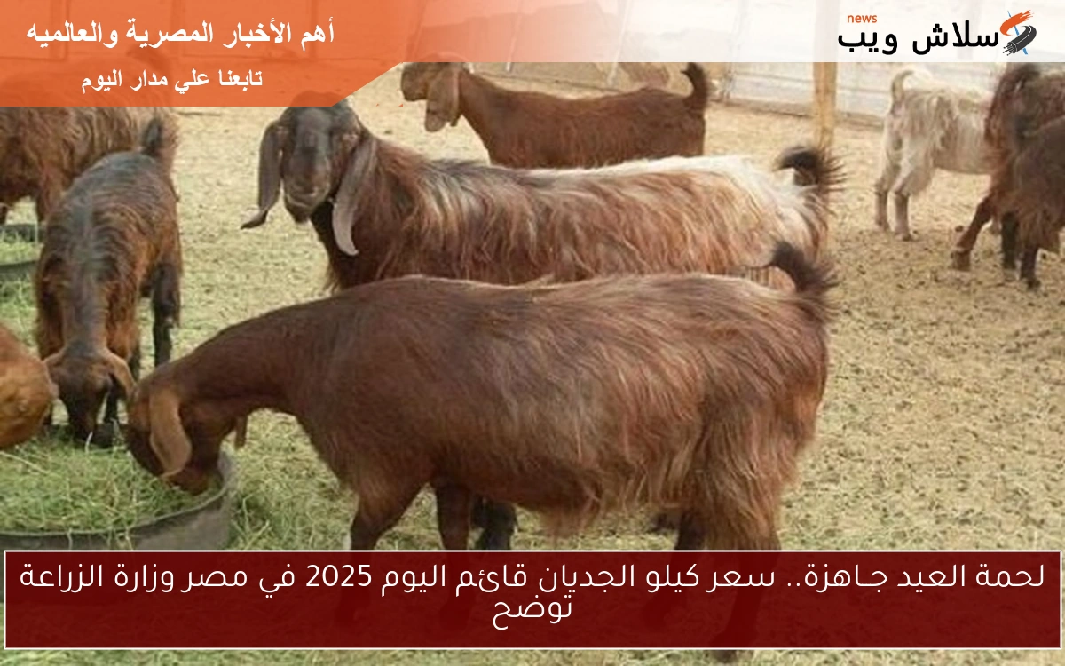 لحمة العيد جــاهزة.. سعر كيلو الجديان قائم اليوم 2025 في مصر وزارة الزراعة توضح 2 لحمة العيد جــاهزة.. سعر كيلو الجديان قائم اليوم 2025 في مصر وزارة الزراعة توضح