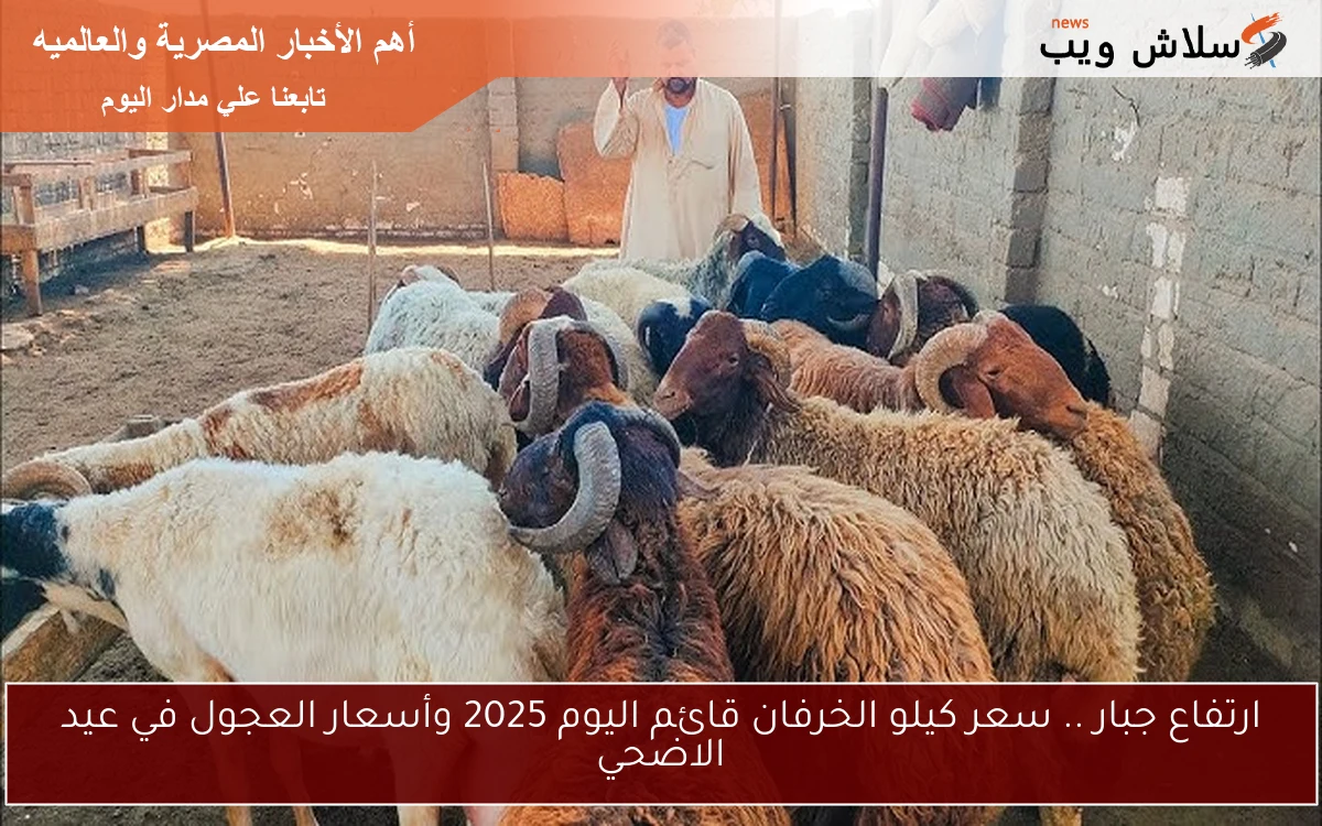 ارتفاع جبار .. سعر كيلو الخرفان قائم اليوم 2025 وأسعار العجول في عيد الاضحي 2 ارتفاع جبار .. سعر كيلو الخرفان قائم اليوم 2025 وأسعار العجول في عيد الاضحي