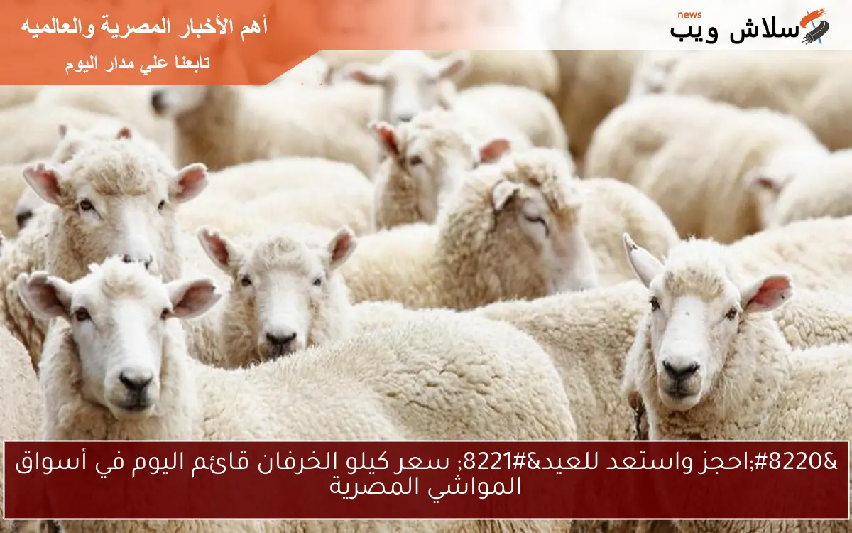 "احجز واستعد للعيد" سعر كيلو الخرفان قائم اليوم في أسواق المواشي المصرية 2 “احجز واستعد للعيد” سعر كيلو الخرفان قائم اليوم في أسواق المواشي المصرية