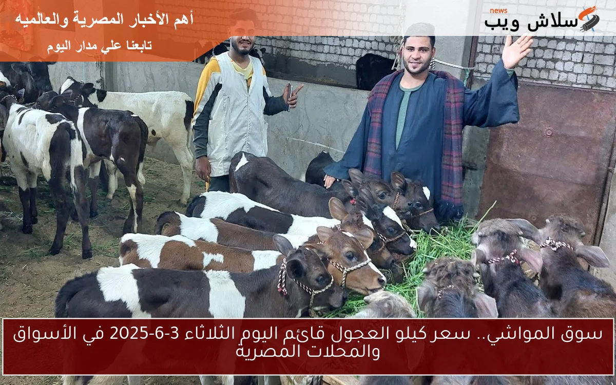 سوق المواشي.. سعر كيلو العجول قائم اليوم الثلاثاء 3-6-2025 في الأسواق والمحلات المصرية 2 سوق المواشي.. سعر كيلو العجول قائم اليوم الثلاثاء 3-6-2025 في الأسواق والمحلات المصرية