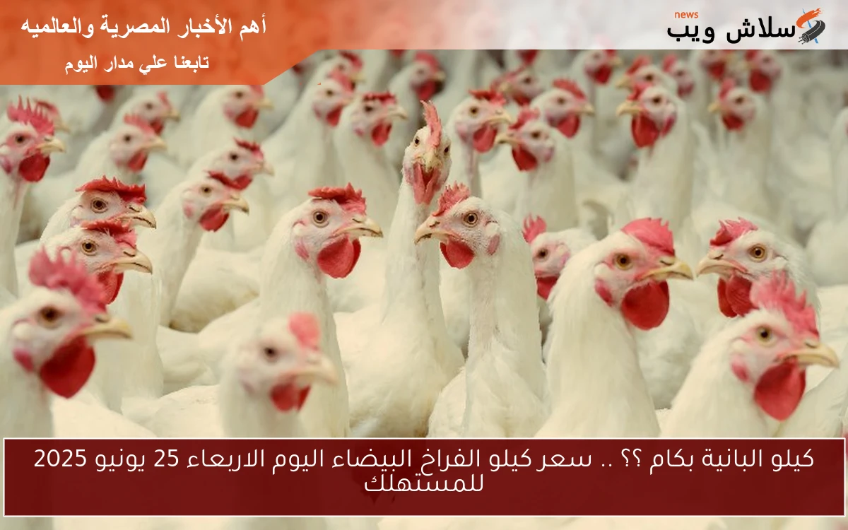 كيلو البانية بكام ؟؟ .. سعر كيلو الفراخ البيضاء اليوم الاربعاء 25 يونيو 2025 للمستهلك