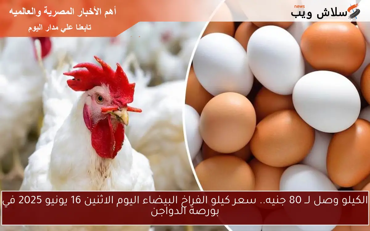 الكيلو وصل لــ 80 جنيه.. سعر كيلو الفراخ البيضاء اليوم الاثنين 16 يونيو 2025 في بورصة الدواجن 2 الكيلو وصل لــ 80 جنيه.. سعر كيلو الفراخ البيضاء اليوم الاثنين 16 يونيو 2025 في بورصة الدواجن