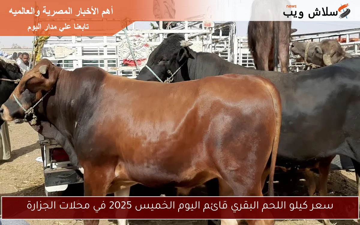 سعر كيلو اللحم البقري قائم اليوم الخميس 2025 في محلات الجزارة 2 سعر كيلو اللحم البقري قائم اليوم الخميس 2025 في محلات الجزارة