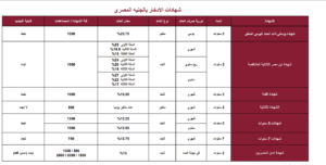 مستقبلك المالي في امان.. شهادات بنك مصر الجديدة 2025 بعائد يصل الي 27% سنوياً 3 شهادات بنك مصر الجديدة