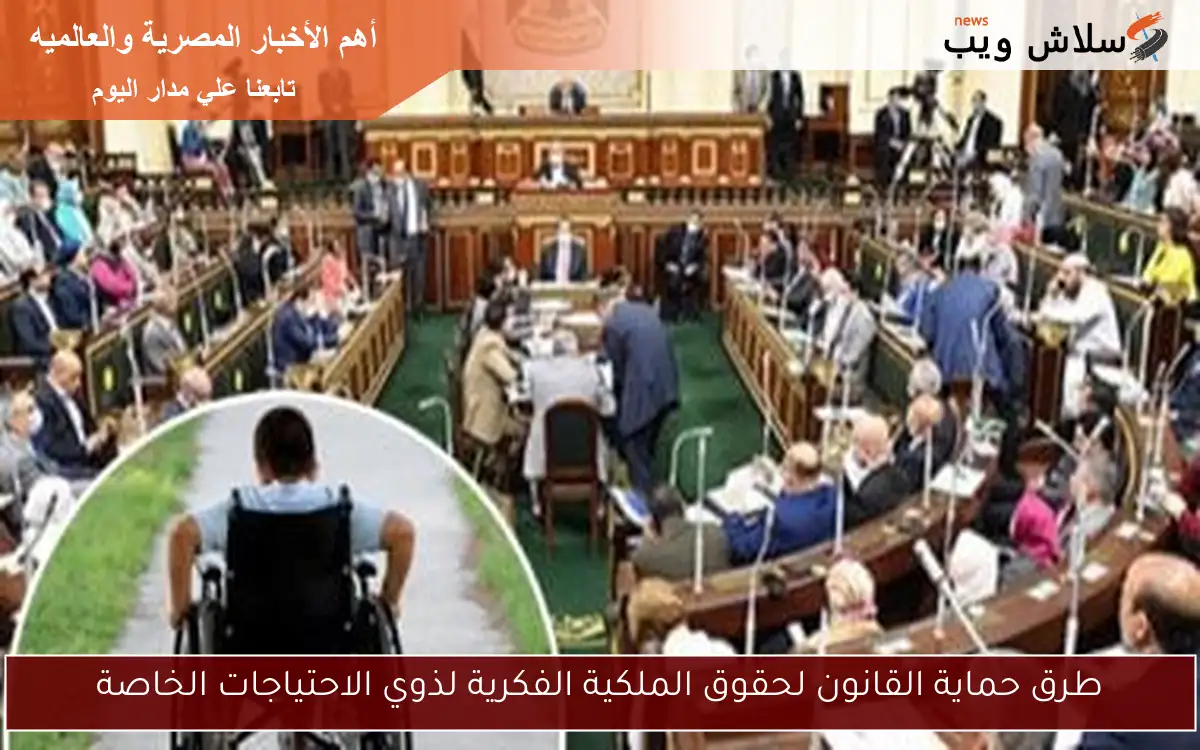 طرق حماية القانون لحقوق الملكية الفكرية لذوي الاحتياجات الخاصة 2 طرق حماية القانون لحقوق الملكية الفكرية لذوي الاحتياجات الخاصة
