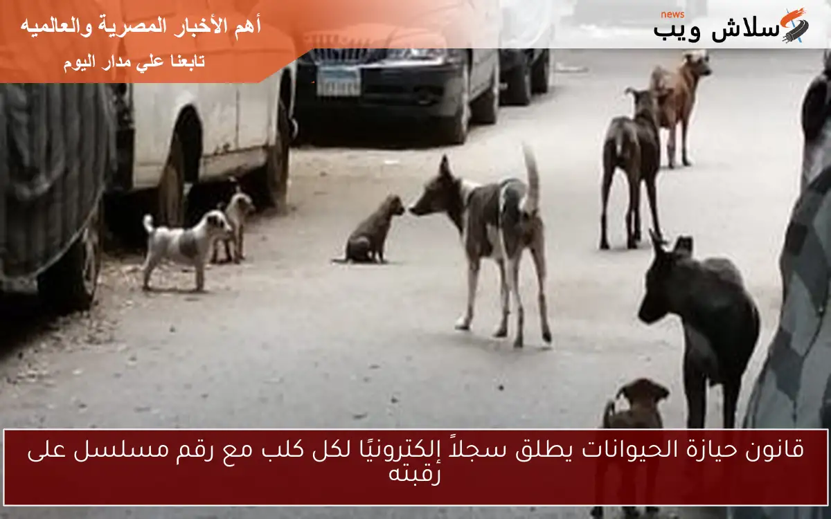 قانون حيازة الحيوانات يطلق سجلاً إلكترونيًا لكل كلب مع رقم مسلسل على رقبته 2 قانون حيازة الحيوانات يطلق سجلاً إلكترونيًا لكل كلب مع رقم مسلسل على رقبته