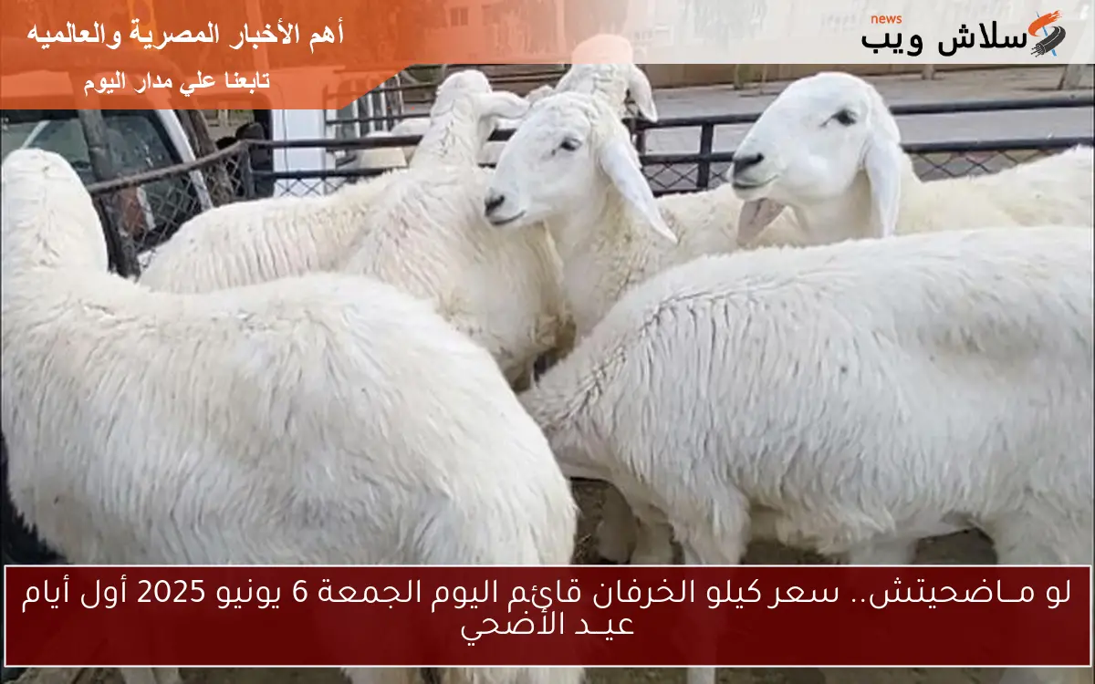 لو مـــاضحيتش.. سعر كيلو الخرفان قائم اليوم الجمعة 6 يونيو 2025 أول أيام عيـــد الأضحي 2 لو مـــاضحيتش.. سعر كيلو الخرفان قائم اليوم الجمعة 6 يونيو 2025 أول أيام عيـــد الأضحي