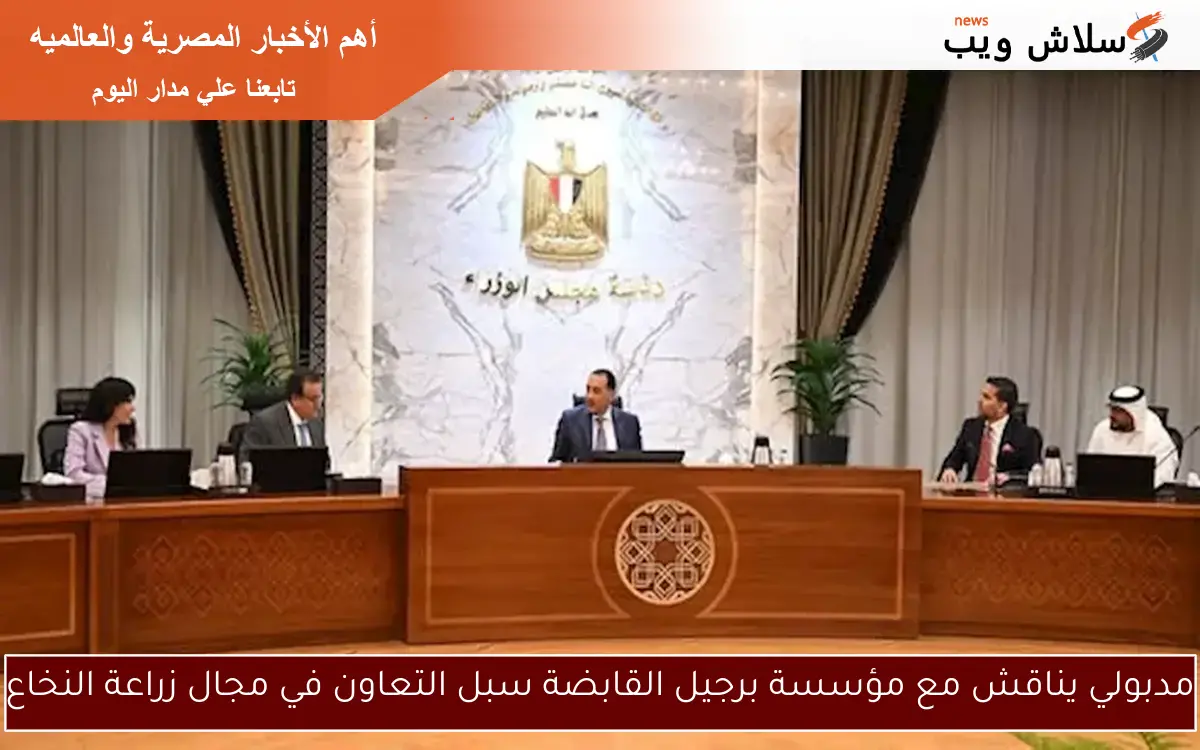 مدبولي يناقش مع مؤسسة برجيل القابضة سبل التعاون في مجال زراعة النخاع