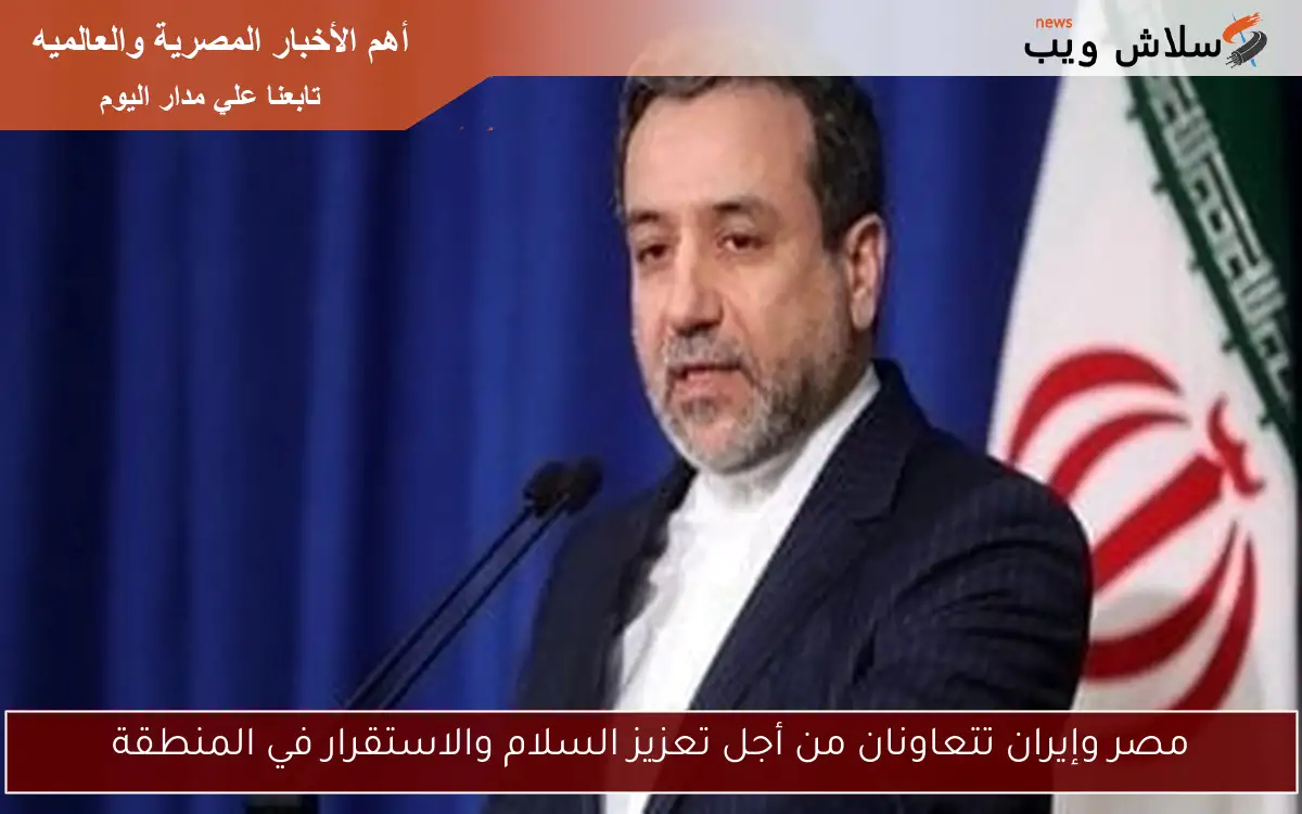 مصر وإيران تتعاونان من أجل تعزيز السلام والاستقرار في المنطقة 2 مصر وإيران تتعاونان من أجل تعزيز السلام والاستقرار في المنطقة