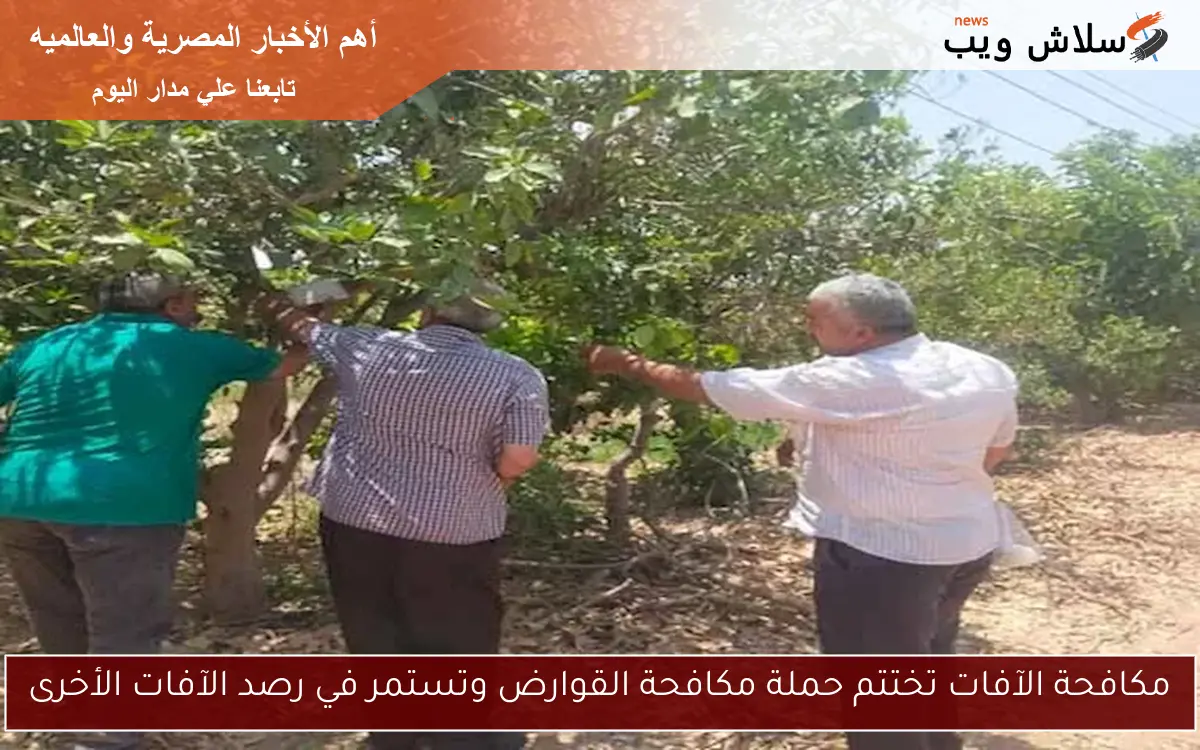 مكافحة الآفات تختتم حملة مكافحة القوارض وتستمر في رصد الآفات الأخرى