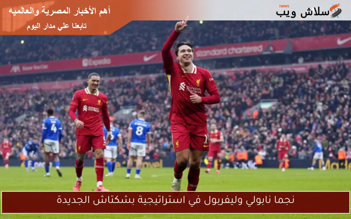 نجما نابولي وليفربول في استراتيجية بشكتاش الجديدة 2 نجما نابولي وليفربول في استراتيجية بشكتاش الجديدة