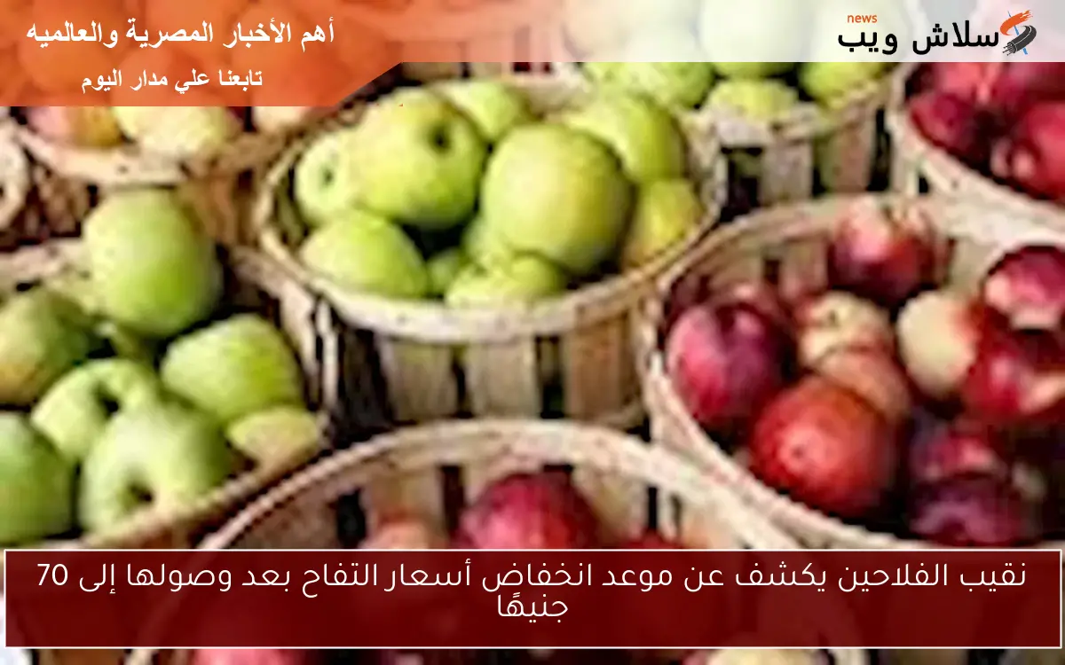 نقيب الفلاحين يكشف عن موعد انخفاض أسعار التفاح بعد وصولها إلى 70 جنيهًا 2 نقيب الفلاحين يكشف عن موعد انخفاض أسعار التفاح بعد وصولها إلى 70 جنيهًا