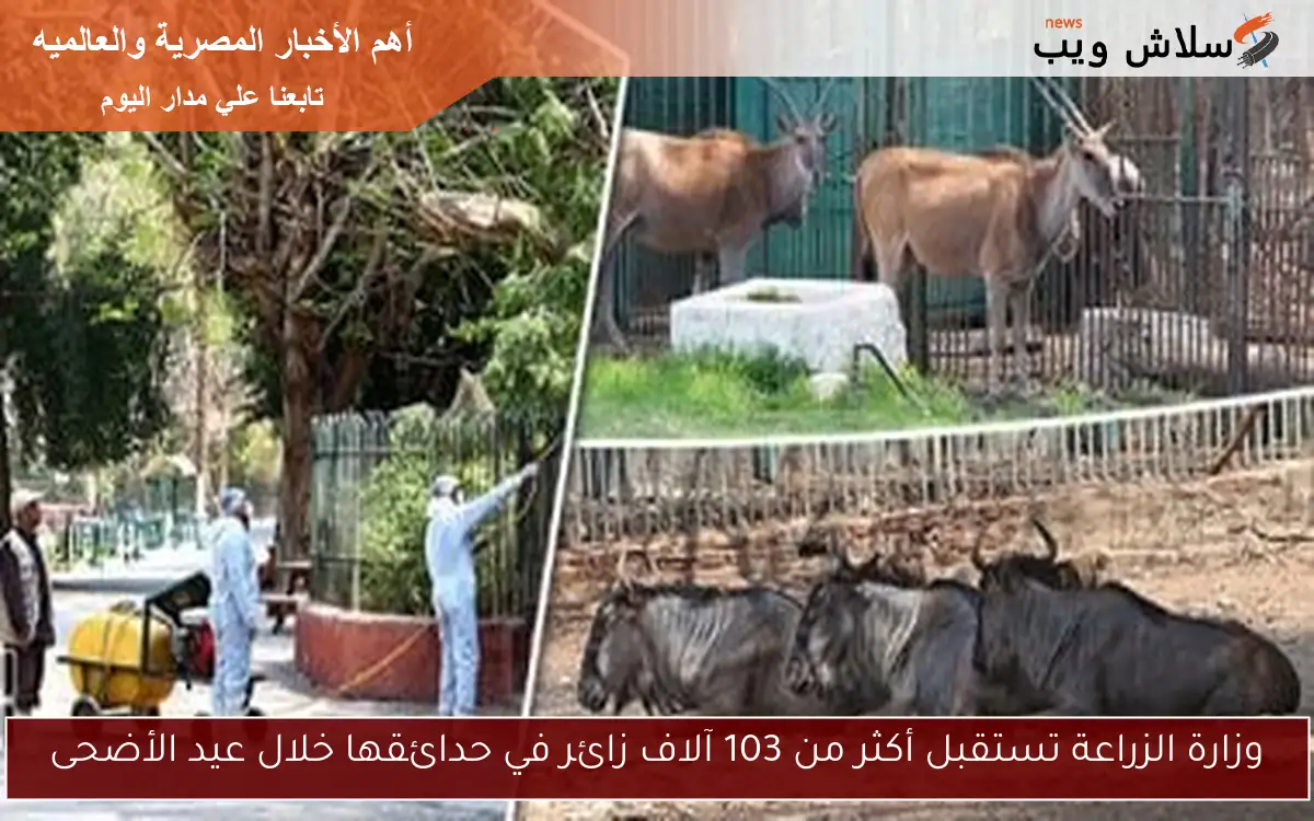 وزارة الزراعة تستقبل أكثر من 103 آلاف زائر في حدائقها خلال عيد الأضحى 2 وزارة الزراعة تستقبل أكثر من 103 آلاف زائر في حدائقها خلال عيد الأضحى