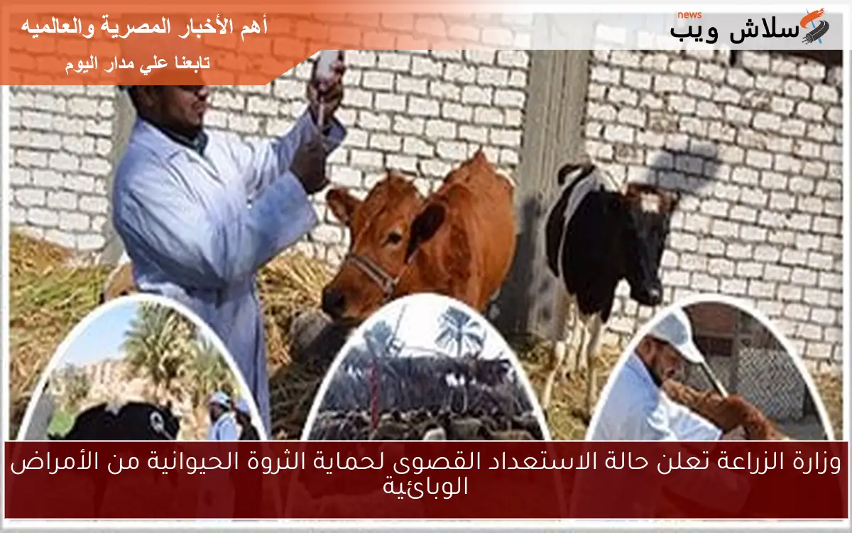 وزارة الزراعة تعلن حالة الاستعداد القصوى لحماية الثروة الحيوانية من الأمراض الوبائية 2 وزارة الزراعة تعلن حالة الاستعداد القصوى لحماية الثروة الحيوانية من الأمراض الوبائية