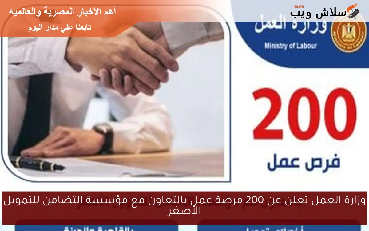 وزارة العمل تعلن عن 200 فرصة عمل بالتعاون مع مؤسسة التضامن للتمويل الأصغر 2 وزارة العمل تعلن عن 200 فرصة عمل بالتعاون مع مؤسسة التضامن للتمويل الأصغر