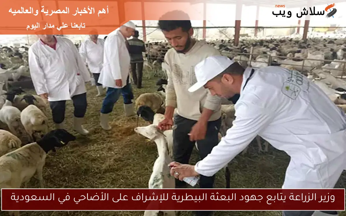 وزير الزراعة يتابع جهود البعثة البيطرية للإشراف على الأضاحي في السعودية 2 وزير الزراعة يتابع جهود البعثة البيطرية للإشراف على الأضاحي في السعودية