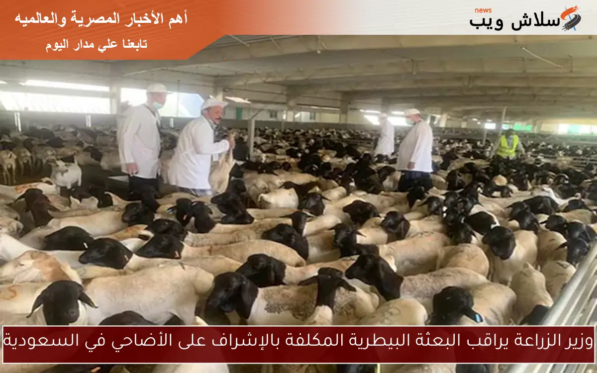 وزير الزراعة يراقب البعثة البيطرية المكلفة بالإشراف على الأضاحي في السعودية 2 وزير الزراعة يراقب البعثة البيطرية المكلفة بالإشراف على الأضاحي في السعودية