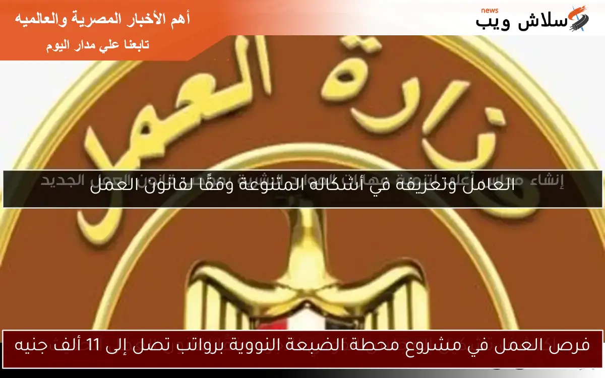 فرص العمل في مشروع محطة الضبعة النووية برواتب تصل إلى 11 ألف جنيه 2 فرص العمل في مشروع محطة الضبعة النووية برواتب تصل إلى 11 ألف جنيه