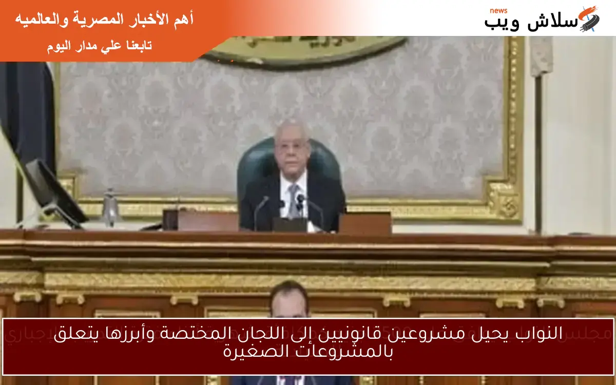 النواب يحيل مشروعين قانونيين إلى اللجان المختصة وأبرزها يتعلق بالمشروعات الصغيرة