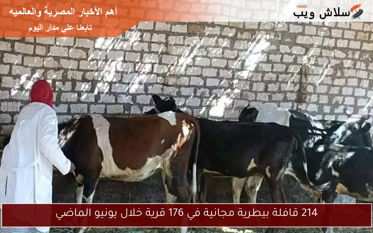 214 قافلة بيطرية مجانية في 176 قرية خلال يونيو الماضي 2 214 قافلة بيطرية مجانية في 176 قرية خلال يونيو الماضي