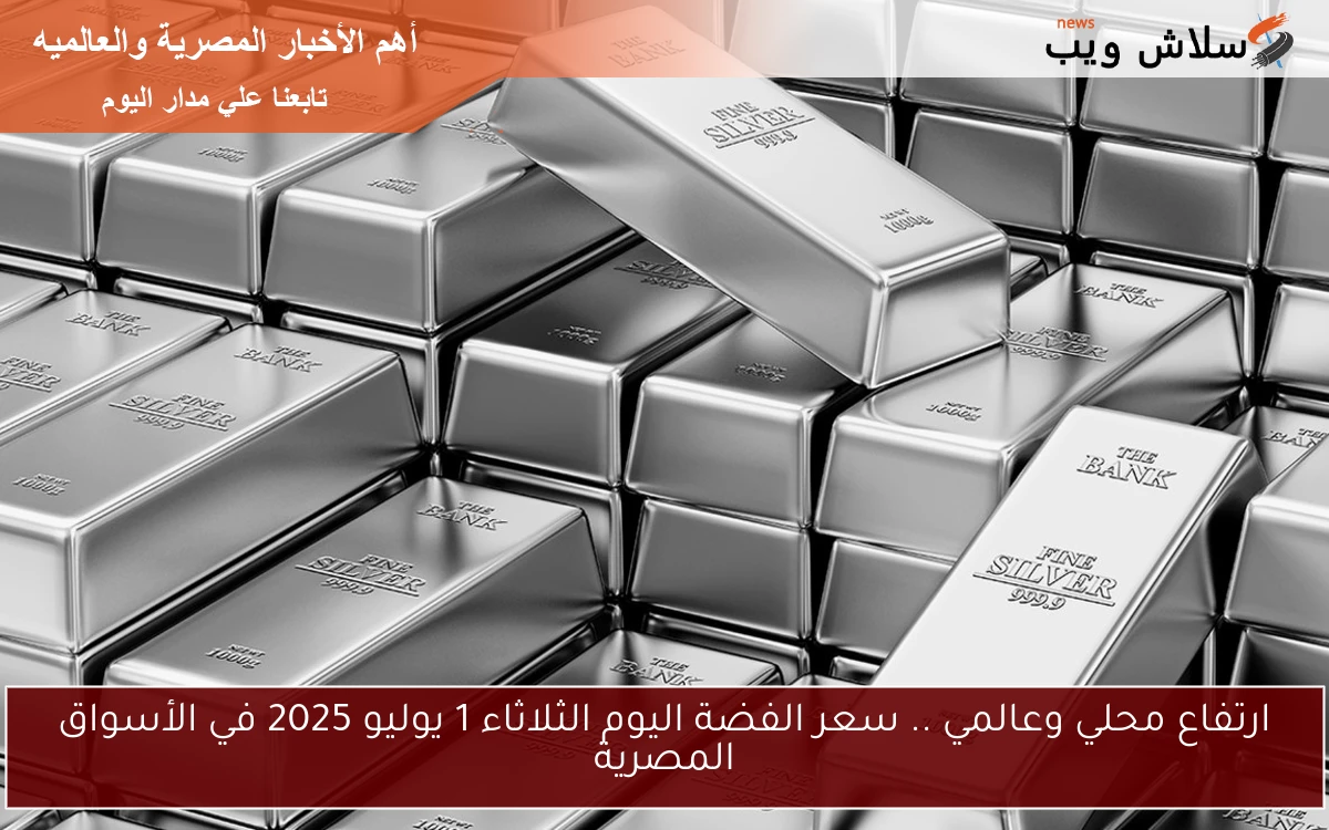 ارتفاع محلي وعالمي .. سعر الفضة اليوم الثلاثاء 1 يوليو 2025 في الأسواق المصرية 2 ارتفاع محلي وعالمي .. سعر الفضة اليوم الثلاثاء 1 يوليو 2025 في الأسواق المصرية