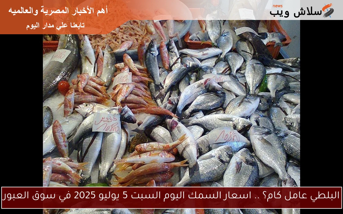 البلطي عامل كام؟ .. اسعار السمك اليوم السبت 5 يوليو 2025 في سوق العبور 2 البلطي عامل كام؟ .. اسعار السمك اليوم السبت 5 يوليو 2025 في سوق العبور