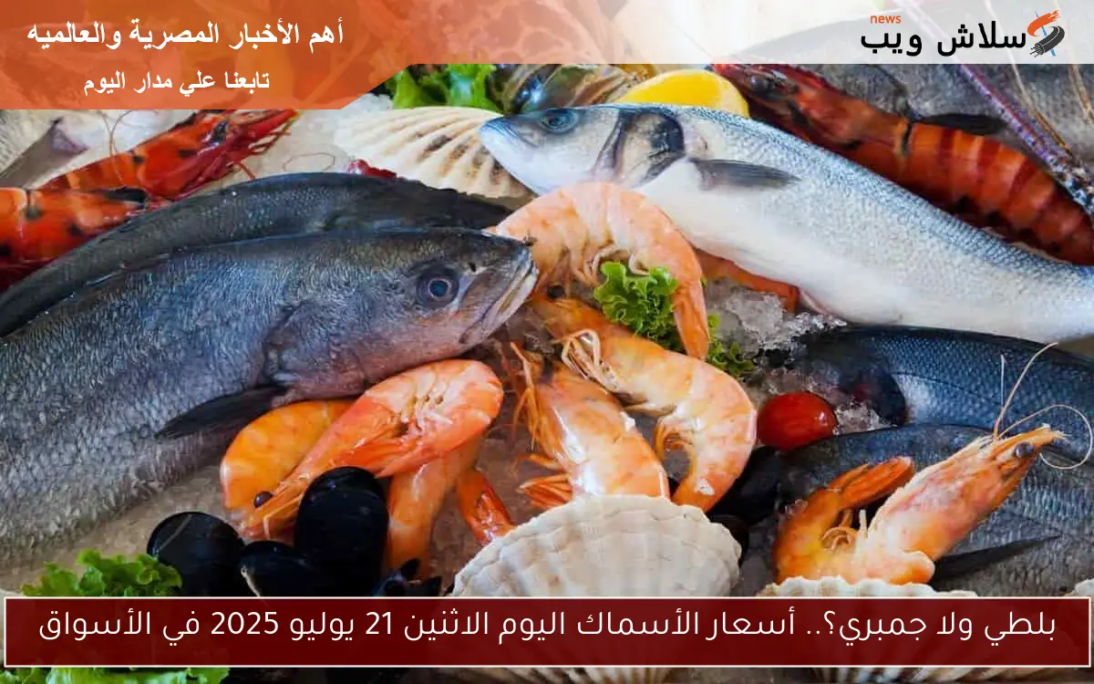 بلطي ولا جمبري؟.. أسعار الأسماك اليوم الاثنين 21 يوليو 2025 في الأسواق 2 بلطي ولا جمبري؟.. أسعار الأسماك اليوم الاثنين 21 يوليو 2025 في الأسواق