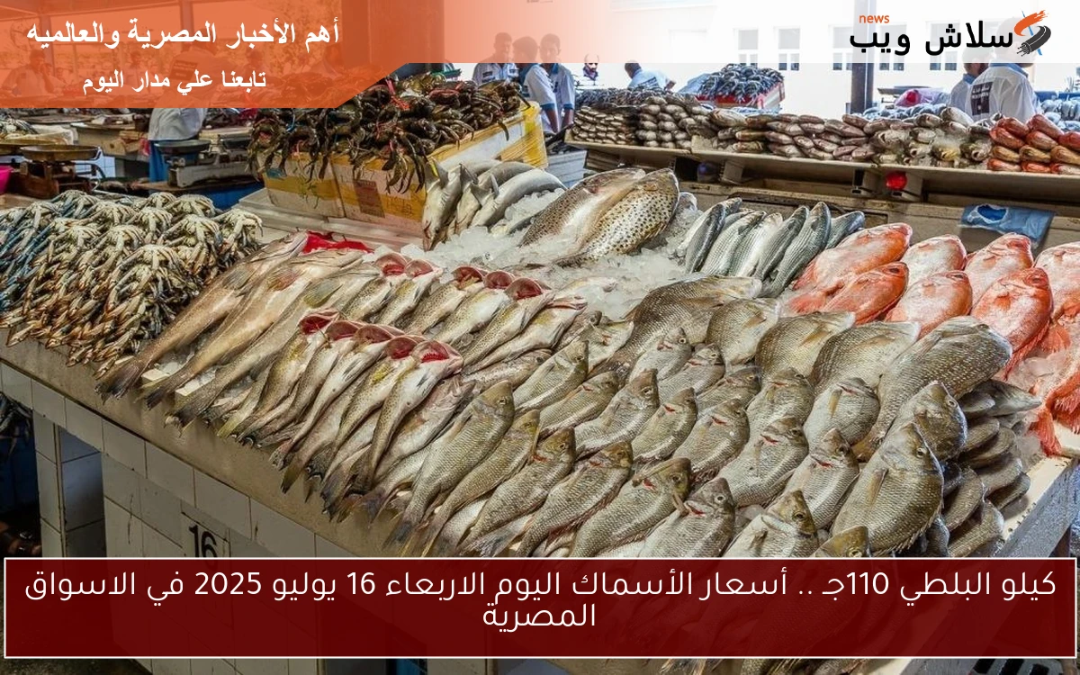 كيلو البلطي 110جـ .. أسعار الأسماك اليوم الاربعاء 16 يوليو 2025 في الاسواق المصرية 2 كيلو البلطي 110جـ .. أسعار الأسماك اليوم الاربعاء 16 يوليو 2025 في الاسواق المصرية
