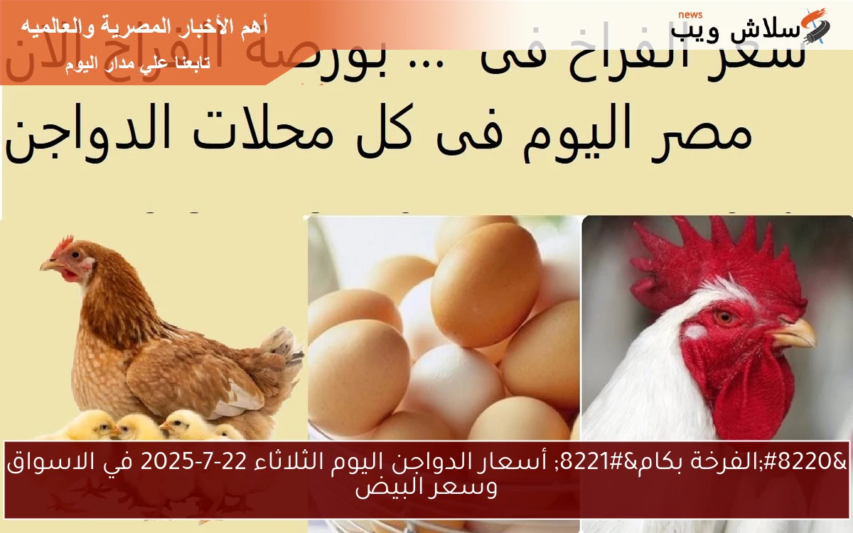 "الفرخة بكام" أسعار الدواجن اليوم الثلاثاء 22-7-2025 في الاسواق وسعر البيض 2 “الفرخة بكام” أسعار الدواجن اليوم الثلاثاء 22-7-2025 في الاسواق وسعر البيض