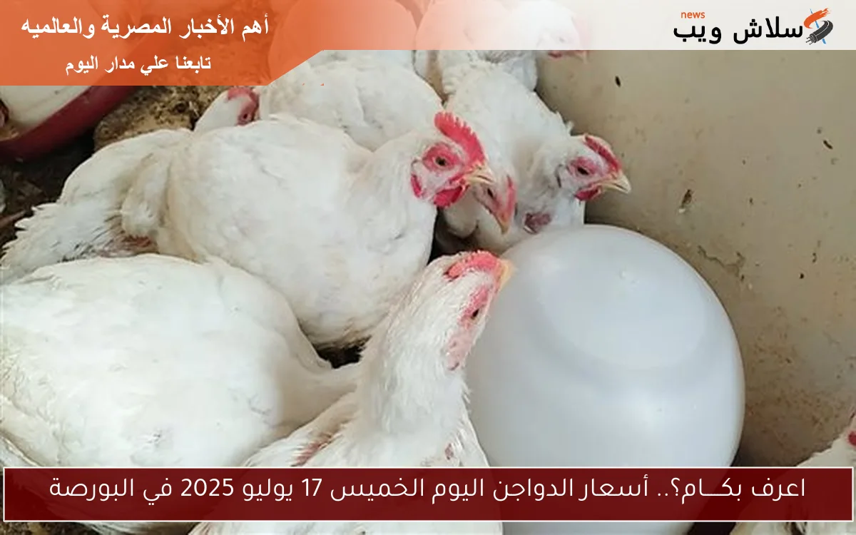 اعرف بكـــــام؟.. أسعار الدواجن اليوم الخميس 17 يوليو 2025 في البورصة 2 اعرف بكـــــام؟.. أسعار الدواجن اليوم الخميس 17 يوليو 2025 في البورصة