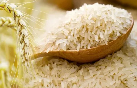 استقرار مصحوب بركود .. سعر الارز الشعير اليوم الخميس 31 يوليو 2025 في السوق المصري 2 استقرار مصحوب بركود .. سعر الارز الشعير اليوم الخميس 31 يوليو 2025 في السوق المصري