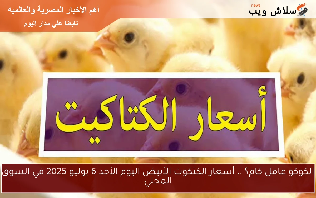 الكوكو عامل كام؟ .. أسعار الكتكوت الأبيض اليوم الأحد 6 يوليو 2025 في السوق المحلي 2 الكوكو عامل كام؟ .. أسعار الكتكوت الأبيض اليوم الأحد 6 يوليو 2025 في السوق المحلي