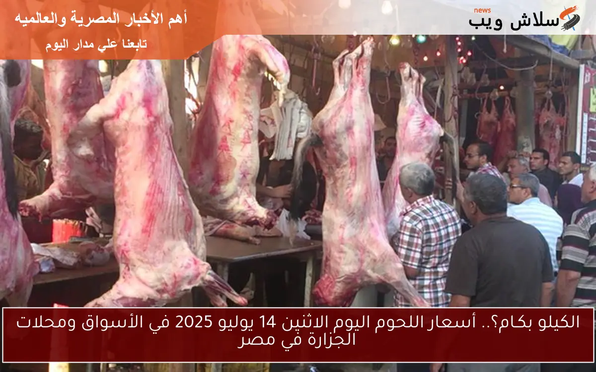 الكيلو بكـام؟.. أسعار اللحوم اليوم الاثنين 14 يوليو 2025 في الأسواق ومحلات الجزارة في مصر 2 الكيلو بكـام؟.. أسعار اللحوم اليوم الاثنين 14 يوليو 2025 في الأسواق ومحلات الجزارة في مصر