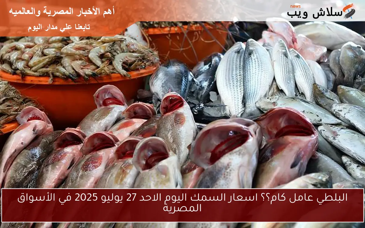 البلطي عامل كام؟؟ اسعار السمك اليوم الاحد 27 يوليو 2025 في الأسواق المصرية 2 البلطي عامل كام؟؟ اسعار السمك اليوم الاحد 27 يوليو 2025 في الأسواق المصرية