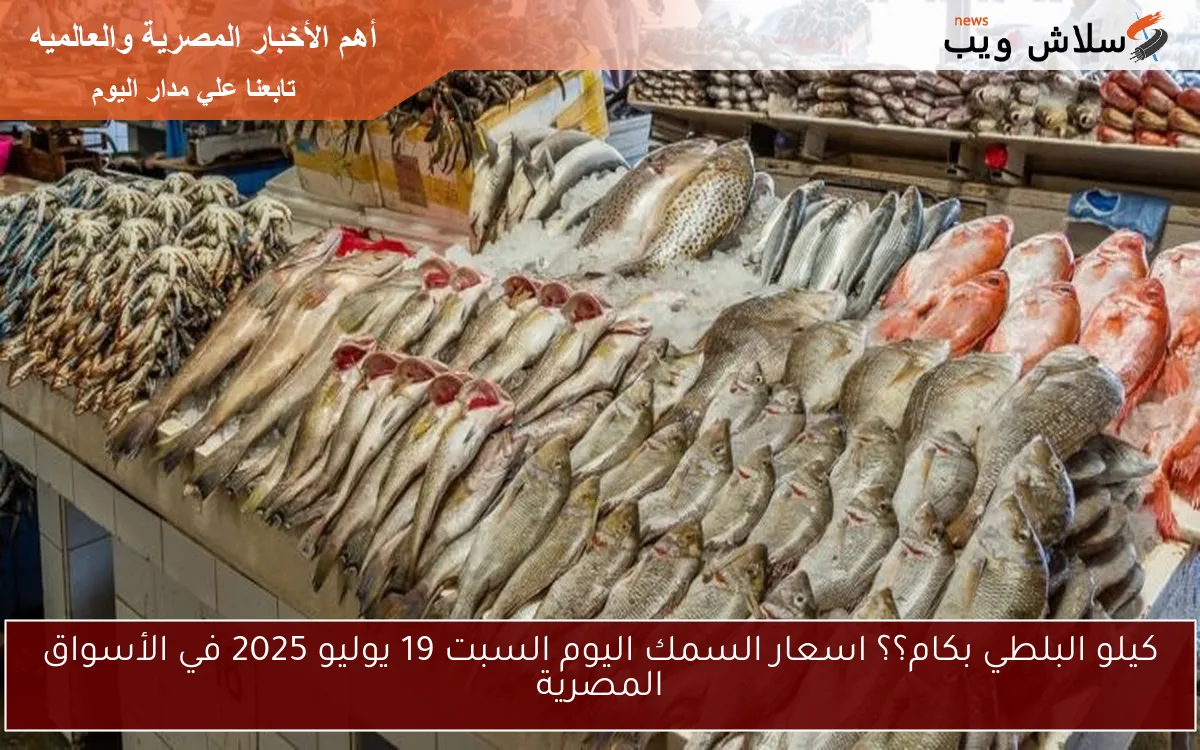 كيلو البلطي بكام؟؟ اسعار السمك اليوم السبت 19 يوليو 2025 في الأسواق المصرية 2 كيلو البلطي بكام؟؟ اسعار السمك اليوم السبت 19 يوليو 2025 في الأسواق المصرية