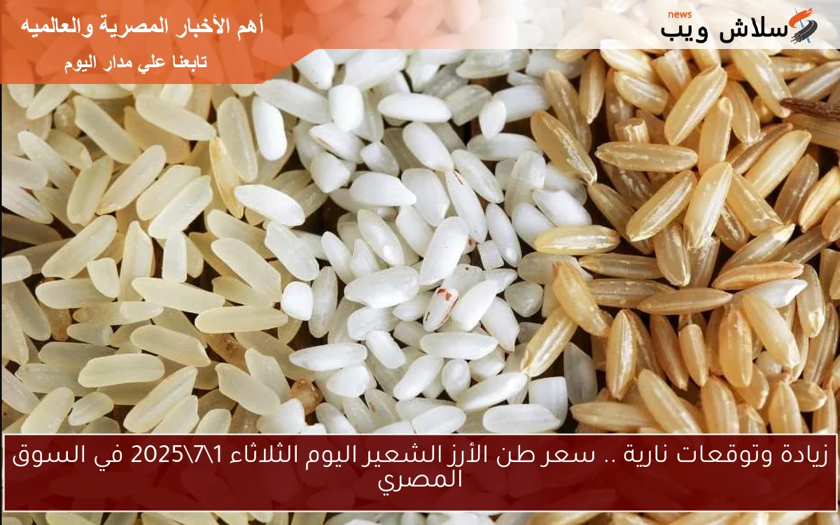 زيادة وتوقعات نارية .. سعر طن الأرز الشعير اليوم الثلاثاء 172025 في السوق المصري 2 زيادة وتوقعات نارية .. سعر طن الأرز الشعير اليوم الثلاثاء 1\7\2025 في السوق المصري
