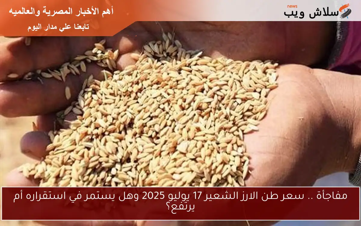مفاجأة .. سعر طن الارز الشعير 17 يوليو 2025 وهل يستمر في استقراره أم يرتفع؟ 2 مفاجأة .. سعر طن الارز الشعير 17 يوليو 2025 وهل يستمر في استقراره أم يرتفع؟
