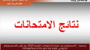 الاستعلام عن نتيجه الدبلومات الفنيه 2025 دور اول
