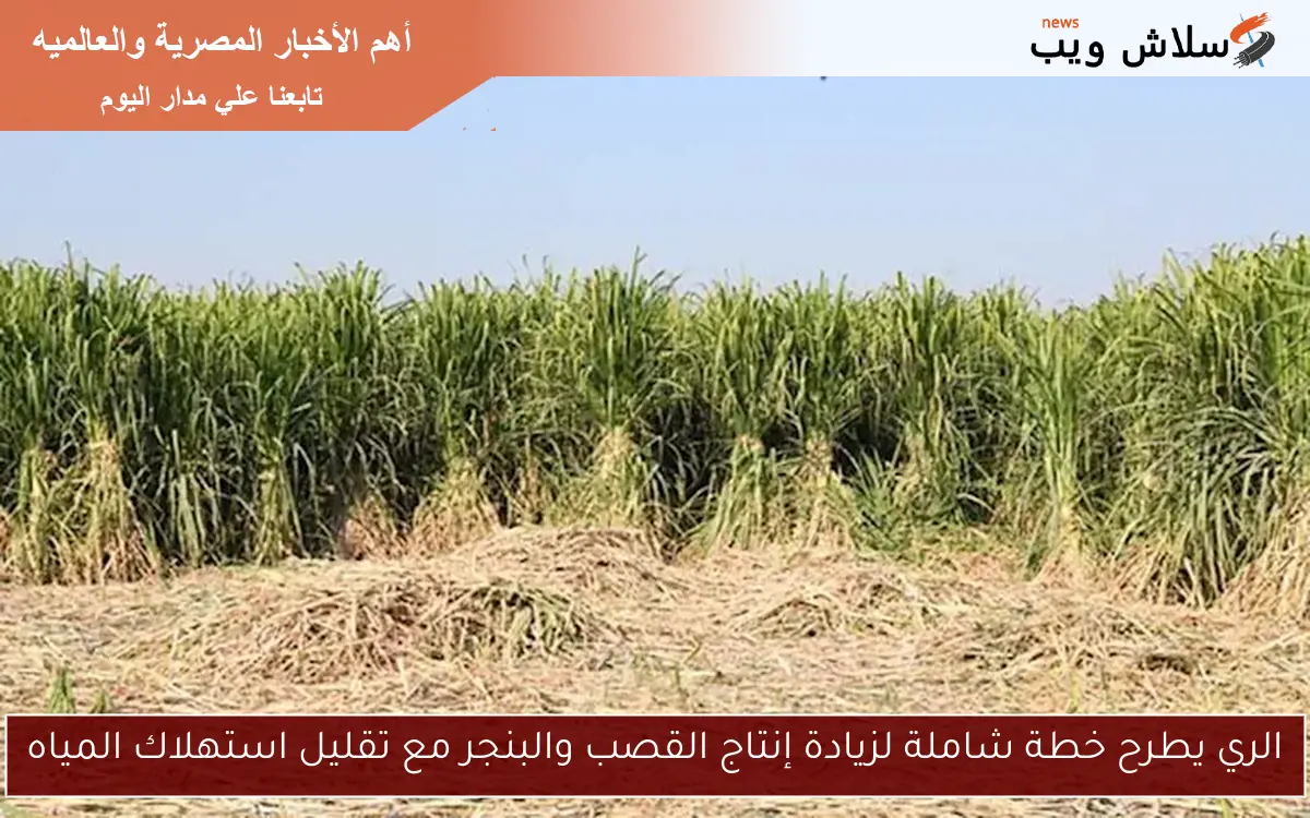 الري يطرح خطة شاملة لزيادة إنتاج القصب والبنجر مع تقليل استهلاك المياه 2 الري يطرح خطة شاملة لزيادة إنتاج القصب والبنجر مع تقليل استهلاك المياه