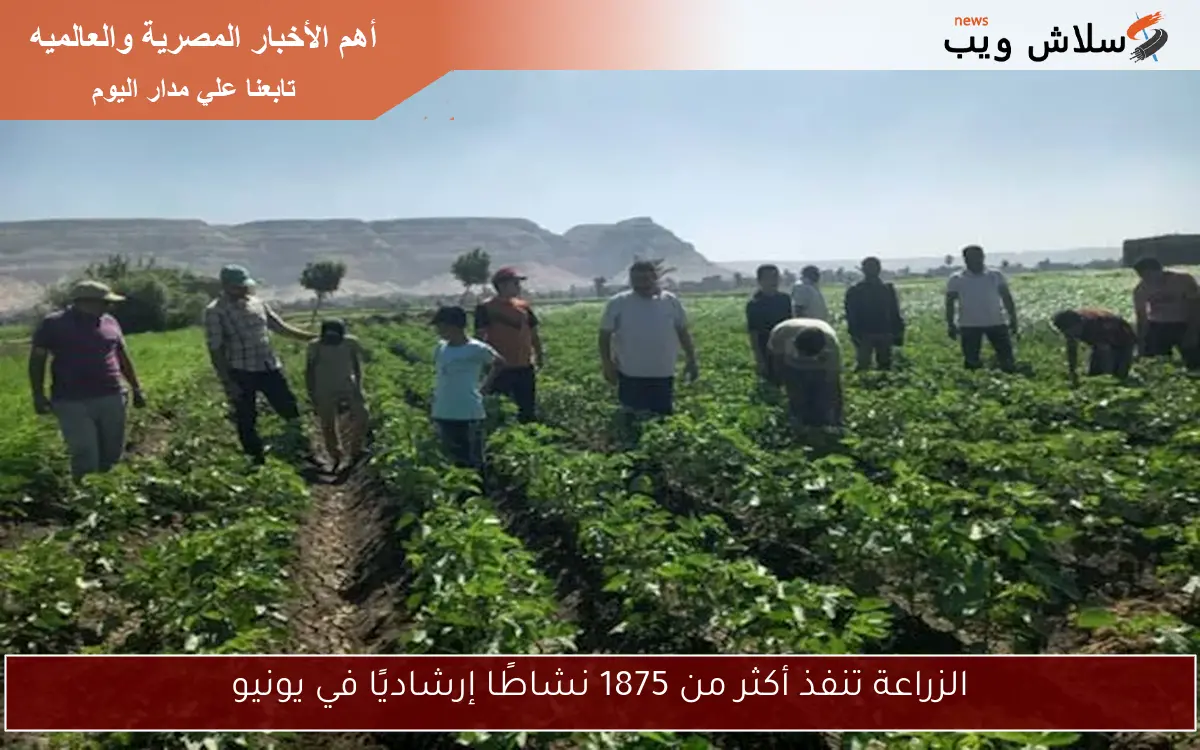 الزراعة تنفذ أكثر من 1875 نشاطًا إرشاديًا في يونيو 2 الزراعة تنفذ أكثر من 1875 نشاطًا إرشاديًا في يونيو