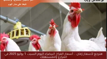 الفراخ