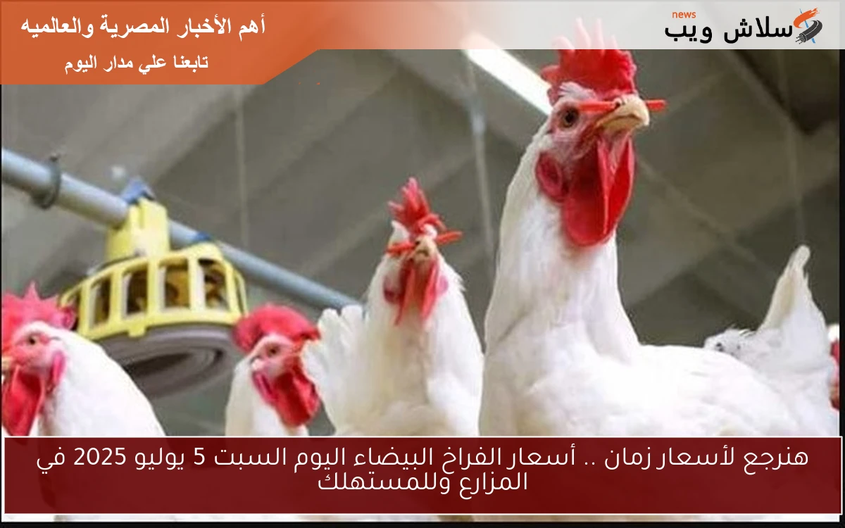 هنرجع لأسعار زمان .. أسعار الفراخ البيضاء اليوم السبت 5 يوليو 2025 في المزارع وللمستهلك 2 هنرجع لأسعار زمان .. أسعار الفراخ البيضاء اليوم السبت 5 يوليو 2025 في المزارع وللمستهلك
