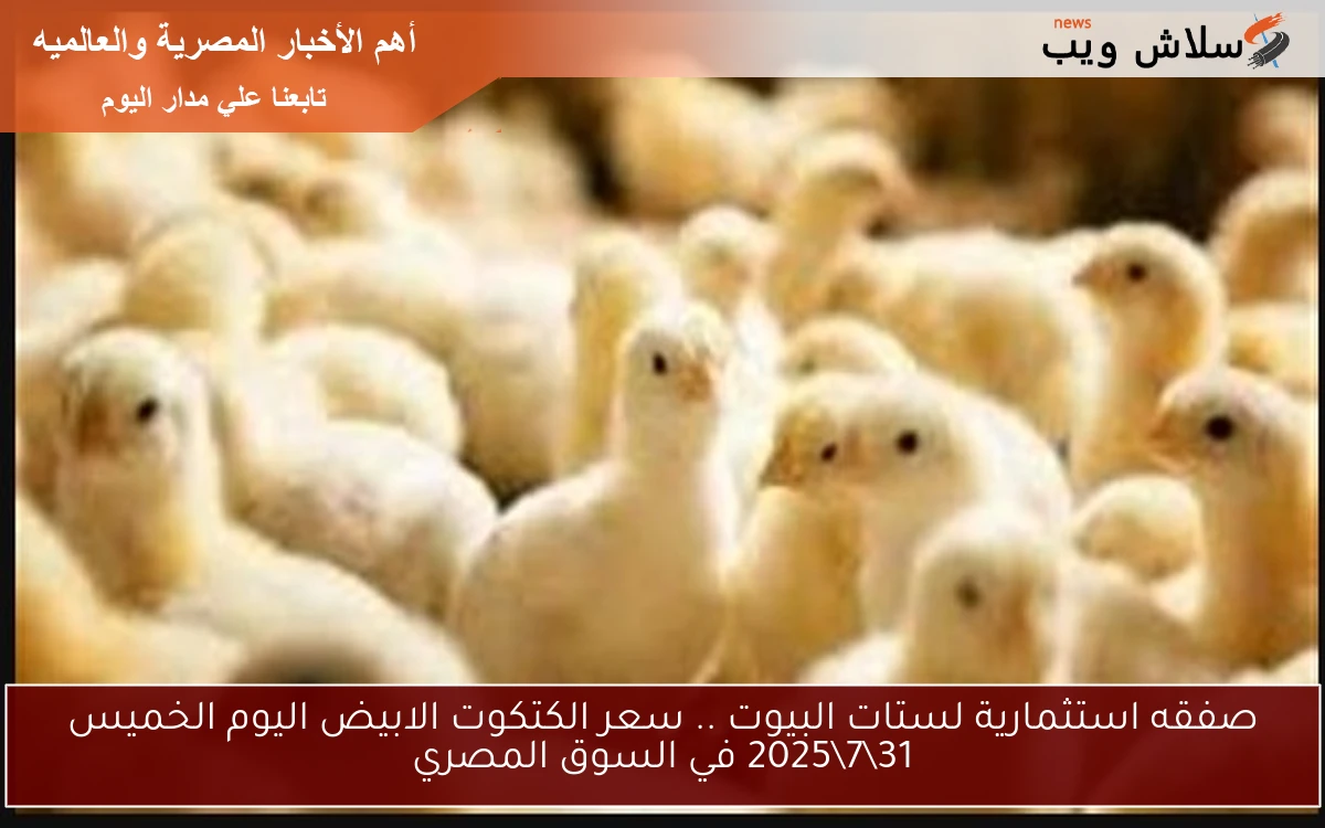صفقه استثمارية لستات البيوت .. سعر الكتكوت الابيض اليوم الخميس 3172025 في السوق المصري 2 صفقه استثمارية لستات البيوت .. سعر الكتكوت الابيض اليوم الخميس 31\7\2025 في السوق المصري