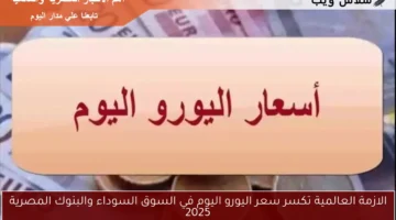اليورو 2