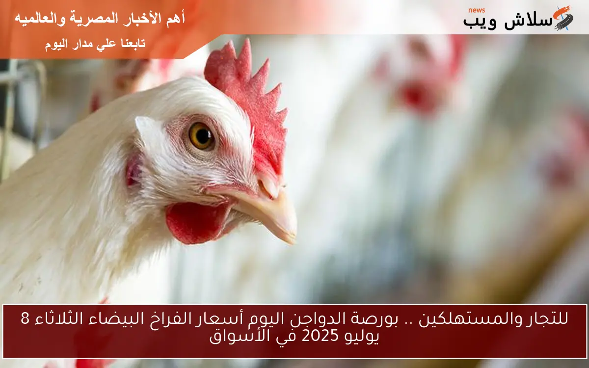للتجار والمستهلكين .. بورصة الدواجن اليوم أسعار الفراخ البيضاء الثلاثاء 8 يوليو 2025 في الأسواق 2 للتجار والمستهلكين .. بورصة الدواجن اليوم أسعار الفراخ البيضاء الثلاثاء 8 يوليو 2025 في الأسواق