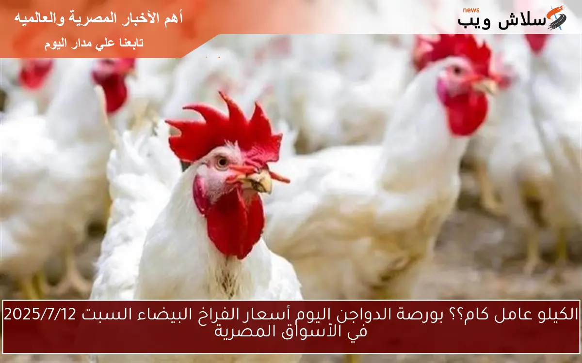 chick الكيلو عامل كام؟؟ بورصة الدواجن اليوم أسعار الفراخ البيضاء السبت 2025/7/12 في الأسواق المصرية 2 chick الكيلو عامل كام؟؟ بورصة الدواجن اليوم أسعار الفراخ البيضاء السبت 2025/7/12 في الأسواق المصرية