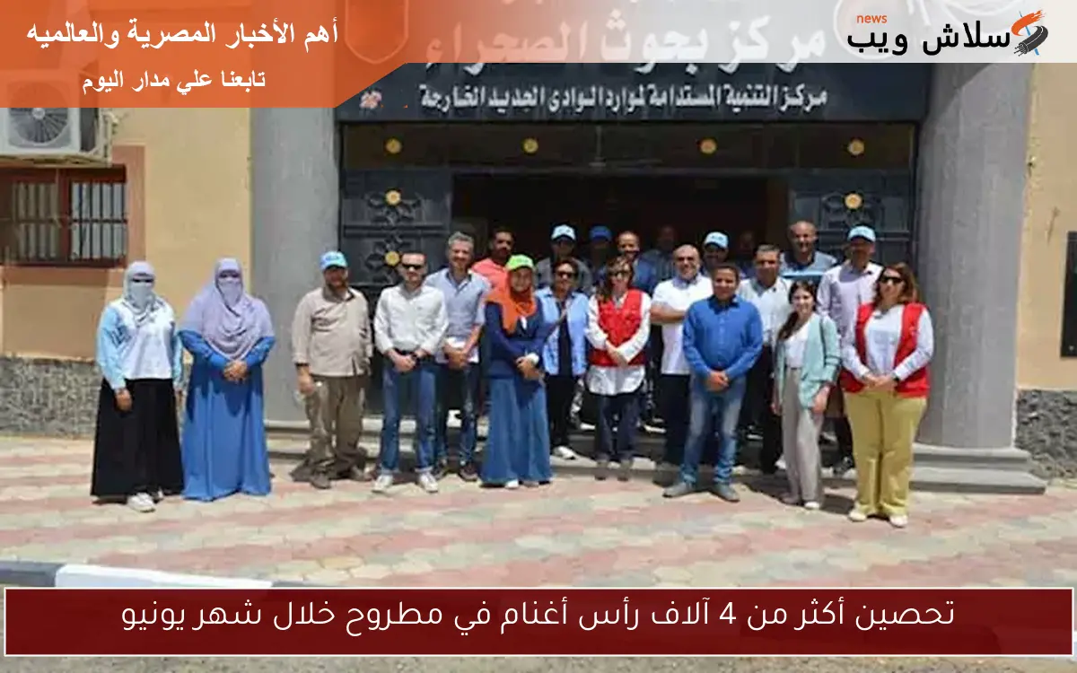 تحصين أكثر من 4 آلاف رأس أغنام في مطروح خلال شهر يونيو 2 تحصين أكثر من 4 آلاف رأس أغنام في مطروح خلال شهر يونيو